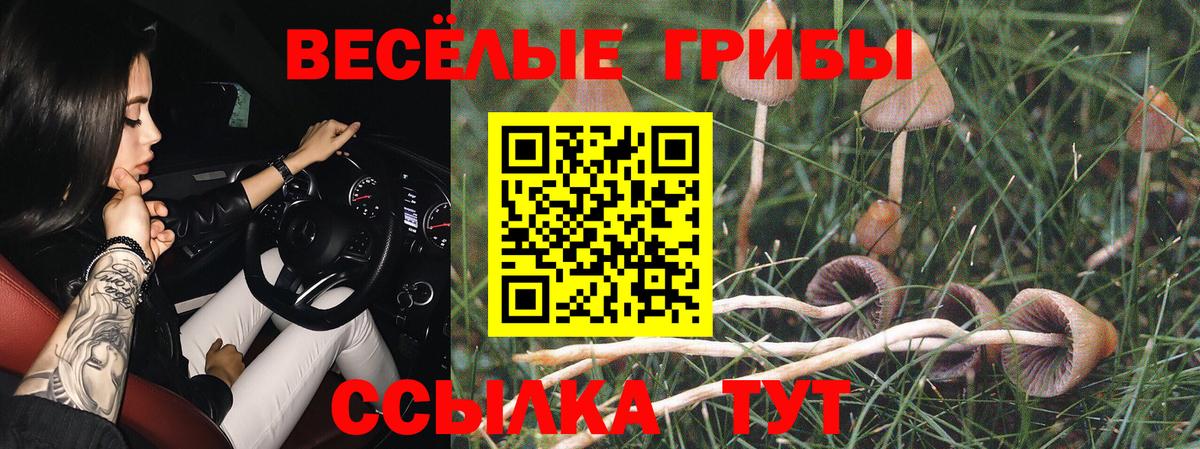 Псилоцибиновые грибы ЛСД Чехов