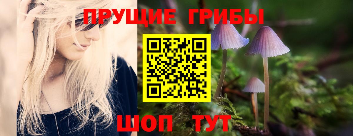 Галлюциногенные грибы MAGIC MUSHROOMS  Галлюциногенные грибы Cubensis  купить  цена  Вход с VPN  Чехов 