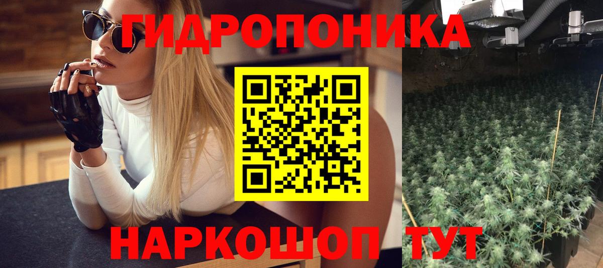 Бошки марихуана планчик  Вход с VPN  Каннабис планчик  Чехов  Каннабис LSD WEED 